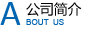 公司簡介